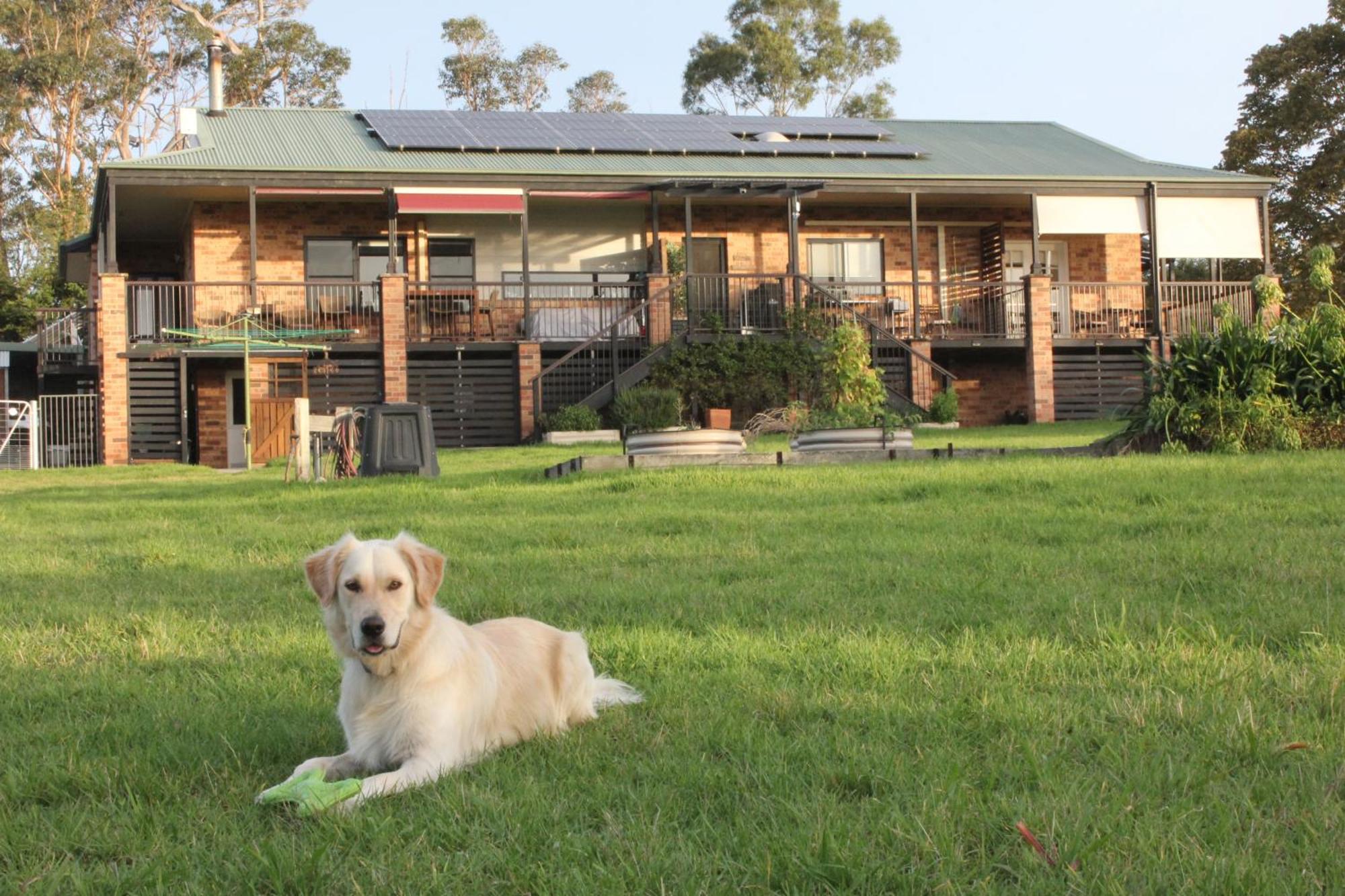 Bryn Glas Farm Stay Moruya Exterior photo